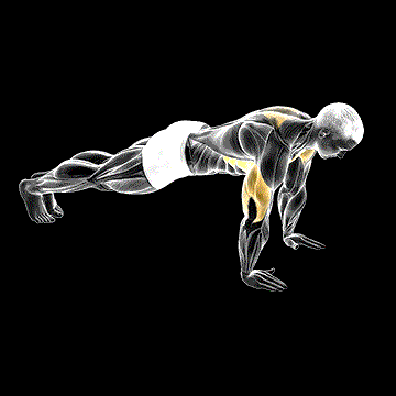Push-up Plus demonstration