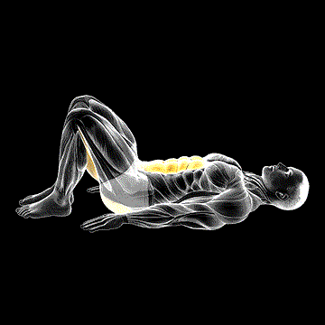 Pelvic Tilt demonstration