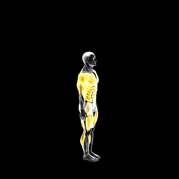 Side Kick Burpee demonstration