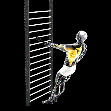 Bodyweight Standing One-Arm Row (w/ Towel) demonstration