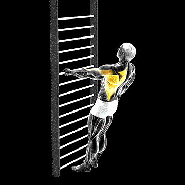 Bodyweight Standing One-Arm Row demonstration