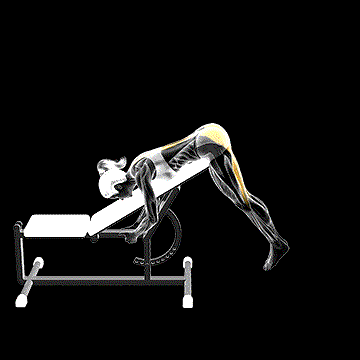 Incline Reverse Hyperextension demonstration