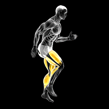 Quick Feet Run demonstration