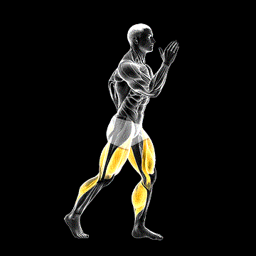 Prancing demonstration