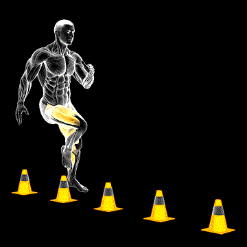 Zigzag Hops demonstration
