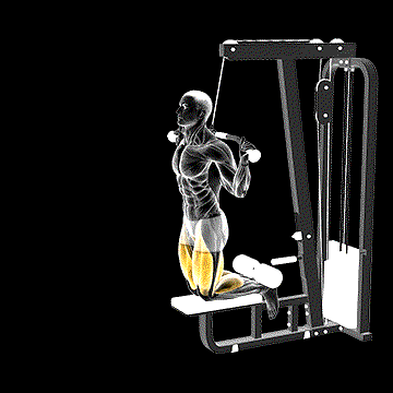 Cable-Assisted Inverse Leg Curl demonstration