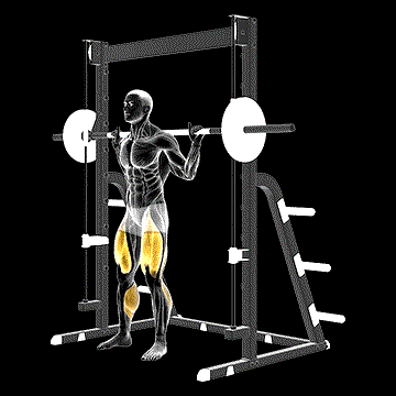 Smith Full Squat demonstration