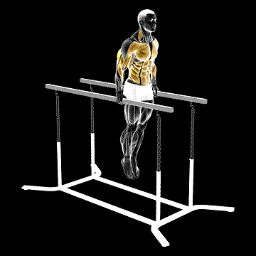 Elbow Dip demonstration