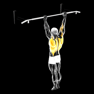 Archer Pull-up demonstration
