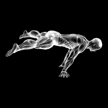Straddle Planche demonstration