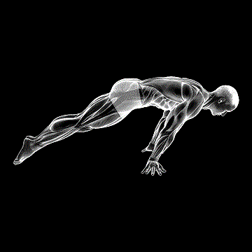 Lean Planche demonstration