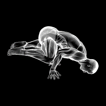 Frog Planche demonstration