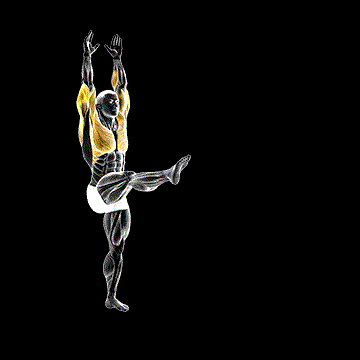 Handstand demonstration