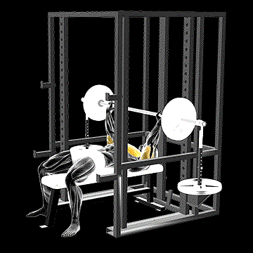 Barbell Weighted Bench Press demonstration