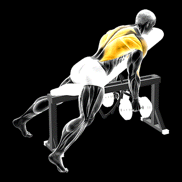 Dumbbell Hammer-Grip Incline Bench Two-Arm Row demonstration