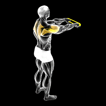 Band Rear Fly demonstration