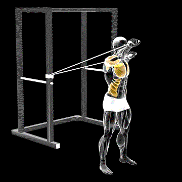 Band Alternate Incline Chest Press (w/ Twist) demonstration
