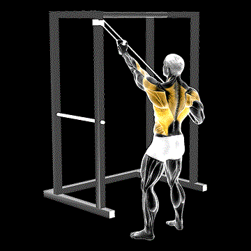 Band Alternate Lat Pulldown (w/ Twist) demonstration