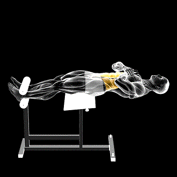 Roman Chair Sit-Up demonstration
