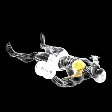 Dumbbell One-Arm Floor Fly demonstration