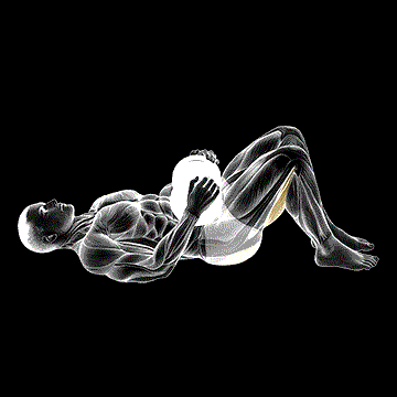 Dumbbell Glute Bridge demonstration