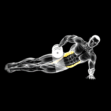 Dumbbell Side Bridge demonstration