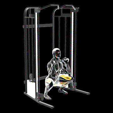 Cable Front Squat demonstration