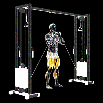 Cable Lateral Lunge demonstration