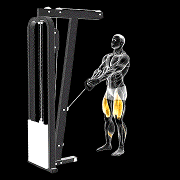 Cable Lunge demonstration