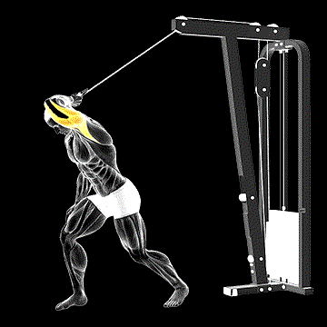 Cable One-Arm High Pulley Overhead Tricep Extension demonstration