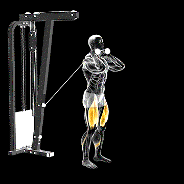 Cable Forward Lunge demonstration