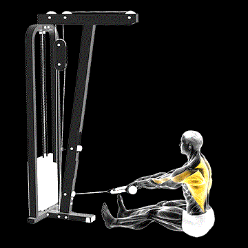 Cable Seated-on-Floor Row (w/ Rope) demonstration
