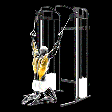 Cable Parallel-Grip Lat Pulldown on Floor demonstration