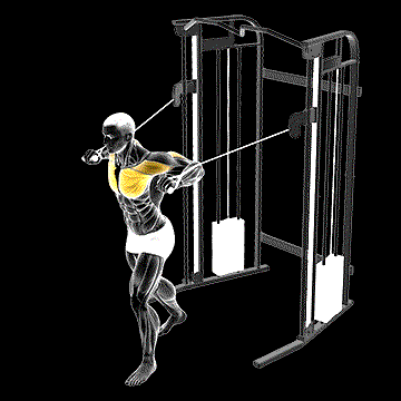 Cable Standing Chest Press demonstration