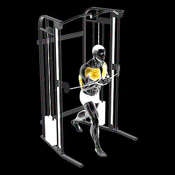 Cable Standing Close Press demonstration