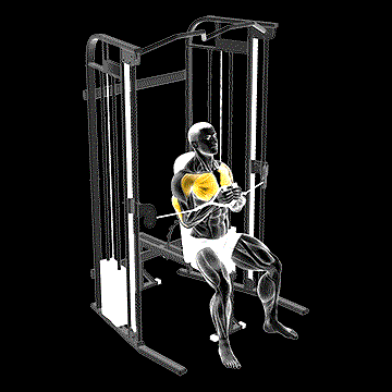 Cable Seated Close Press demonstration