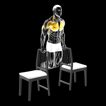Dips Between Chairs demonstration