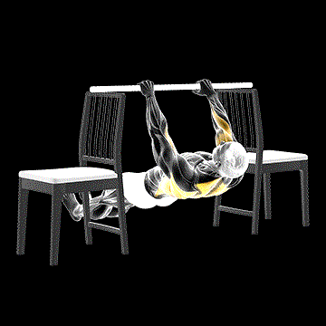 Inverted Row Between Chairs demonstration