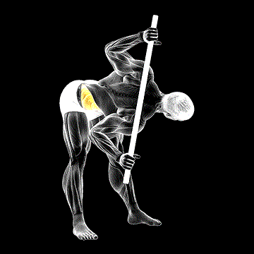 Bent-over Twist demonstration