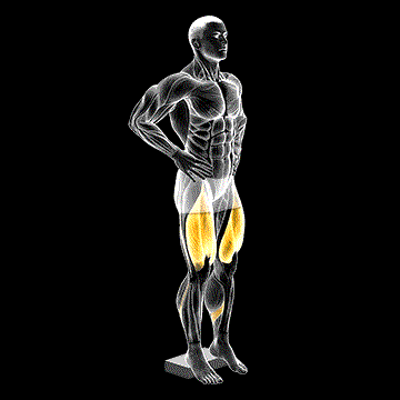 Narrow Squat from Deficit demonstration
