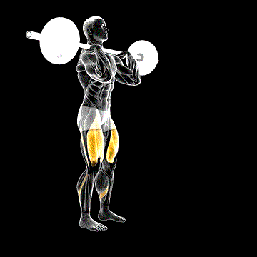 Barbell Front Rack Lunge demonstration
