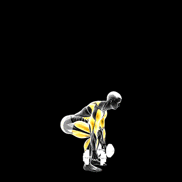 Dumbbell Clean and Press demonstration