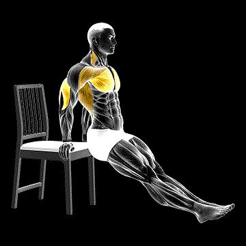 Dip on Floor (w/ Chair) demonstration