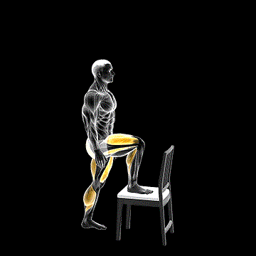 Step-up on Chair demonstration
