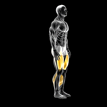 Alternate Sprinter Lunge demonstration