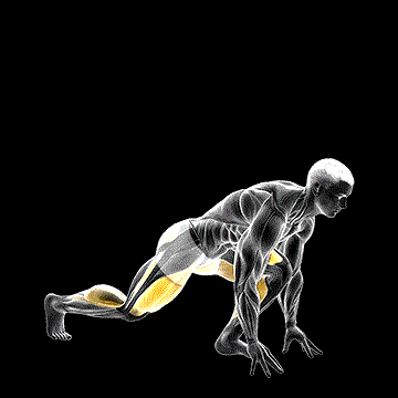 Split Sprinter Low Lunge demonstration