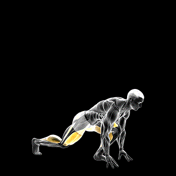 Split Sprinter High Lunge demonstration