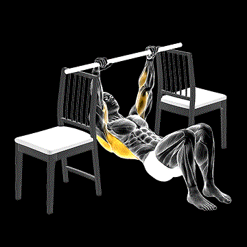 Inverted Row (w/ Bent Knee Between Chairs) demonstration
