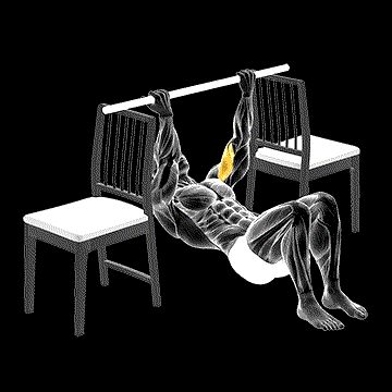 Inverted Chin Curl (w/ Bent Knee Between Chairs) demonstration