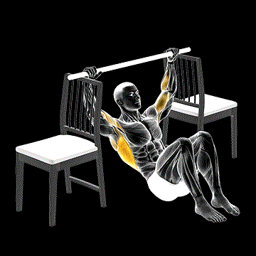 Pull-up (w/ Bent Knee Between Chairs) demonstration